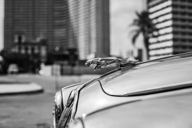 20Bets Casino Android/iOS rakendus